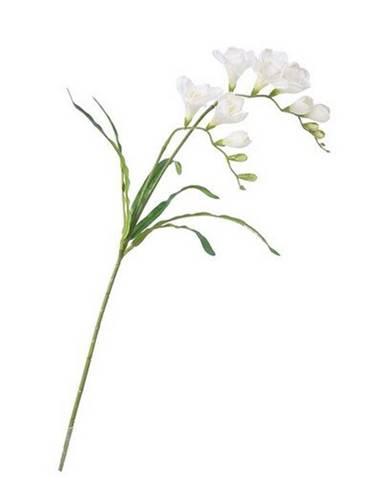 Biela váza Wenko